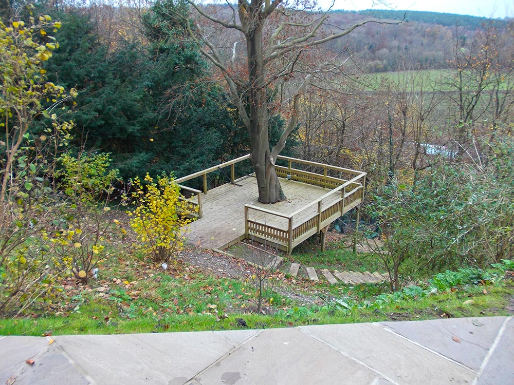 large observation deck built around base of a substantial tree